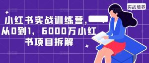 小红书实战训练营,从0到1,6000万小红书项目拆解-KJ分享