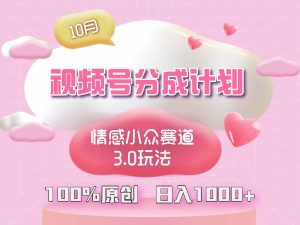 视频号情感小众赛道3.0.纯原创视频，每天1小时，小白易上手-KJ分享