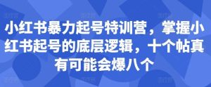 小红书暴力起号特训营,掌握小红书起号的底层逻辑,十个帖真有可能会爆八个-KJ分享