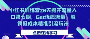 小红书训练营28天撕开流量入口第七期，Get优质流量，解锁低成本精准引流玩法-KJ分享
