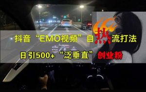 抖音EMO视频自热打法,日引500+“泛垂直”创业粉-KJ分享