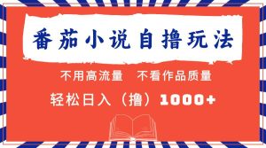 番茄小说最新自撸 不看流量 不看质量 轻松日入1000+-KJ分享