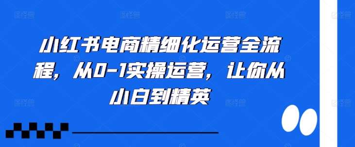 小红书电商精细化运营全流程，从0-1实操运营，让你从小白到精英-KJ分享