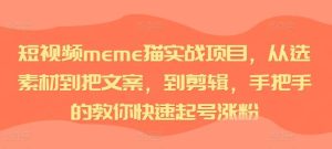 短视频meme猫实战项目，从选素材到把文案，到剪辑，手把手的教你快速起号涨粉-KJ分享
