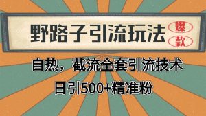 抖音小红书视频号全平台引流打法,全自动引流日引2000+精准客户-KJ分享