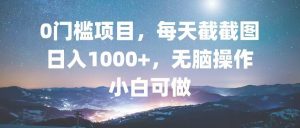 0门槛项目，每天截截图，日入1000+，轻松无脑，小白可做-KJ分享