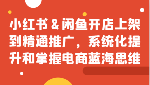 小红书&闲鱼开店上架到精通推广，系统化提升和掌握电商蓝海思维-KJ分享