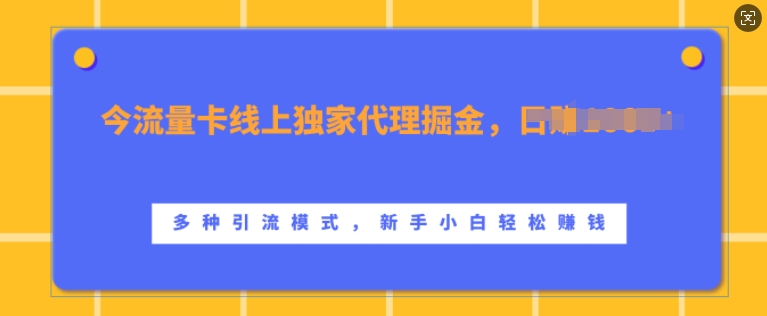 流量卡线上独家代理掘金，日入1k+ ，多种引流模式，新手小白轻松上手-KJ分享
