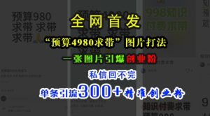 小红书“预算4980带我飞”图片打法,一张图片引爆创业粉,私信回不完,单条引流300+精准创业粉-KJ分享