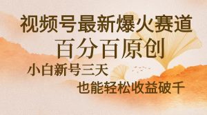视频号最新爆火赛道,中老年粉深信不疑,百分百原创,新号三天收益轻松…-KJ分享