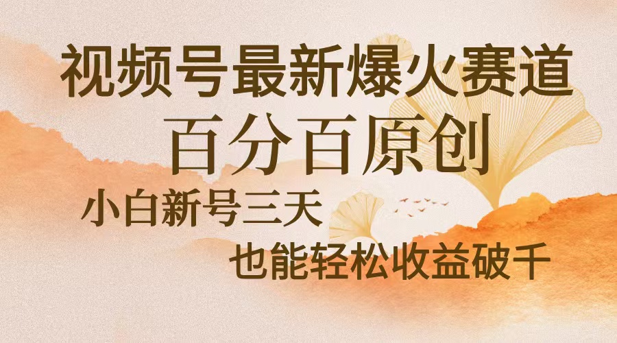 视频号最新爆火赛道，中老年粉深信不疑，百分百原创，新号三天收益轻松…-KJ分享