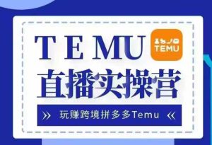 Temu直播实战营，玩赚跨境拼多多Temu，国内电商卷就出海赚美金-KJ分享