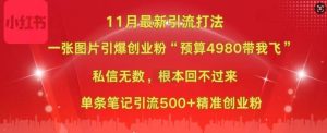 小红书11月最新图片打粉，一张图片引爆创业粉，“预算4980带我飞”，单条引流500+精准创业粉-KJ分享