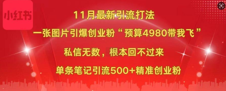 小红书11月最新图片打粉，一张图片引爆创业粉，“预算4980带我飞”，单条引流500+精准创业粉-KJ分享