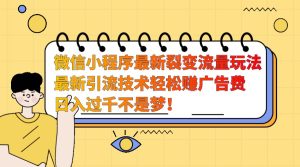 微信小程序最新裂变流量玩法，时间自由收益高轻松赚广告费，日入过千不是梦！-KJ分享