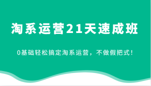 淘系运营21天速成班，0基础轻松搞定淘系运营，不做假把式！-KJ分享