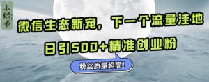 微信生态新宠小绿书：下一个流量洼地，日引500+精准创业粉，粉丝质量超高-KJ分享