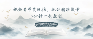 视频号带货玩法，抓住精准流量，5分钟一条原创，小白也能轻松每天500+！-KJ分享