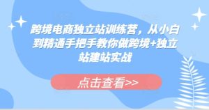 跨境电商独立站训练营,从小白到精通手把手教你做跨境+独立站建站实战-KJ分享