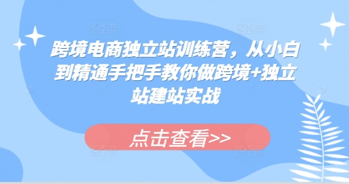 跨境电商独立站训练营，从小白到精通手把手教你做跨境+独立站建站实战-KJ分享