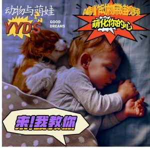 AI制作动物与萌娃互动视频，瞬间萌化你的心，粉丝大米一起收货！-KJ分享