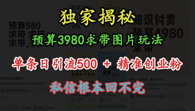 预算3980求带 图片玩法，单条日引流500+精准创业粉，私信根本回不完-KJ分享