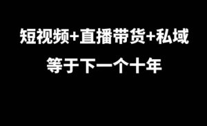 短视频+直播带货+私域等于下一个十年，大佬7年实战经验总结-KJ分享