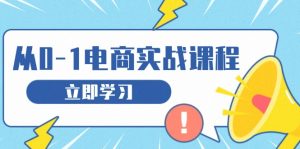 从零做电商实战课程，教你如何获取访客、选品布局，搭建基础运营团队-KJ分享