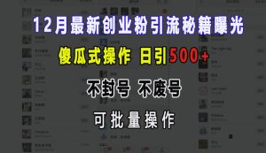 12月最新创业粉引流秘籍曝光 傻瓜式操作 日引500+ 不封号 不废号 可批量操作-KJ分享