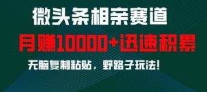 微头条相亲赛道，迅速积累，无脑复制粘贴，野路子玩法，月入1w-KJ分享
