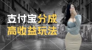 支付宝分成计划新玩法，利用交通事故视频，赚收益，轻松月入过W，操作简单-KJ分享