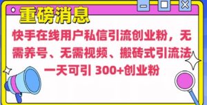 快手最新引流创业粉方法,无需养号、无需视频、搬砖式引流法-KJ分享