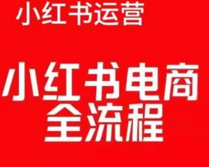 红薯电商实操课，小红书电商全流程-KJ分享