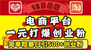 12月最新：电商平台1元打爆创业粉，简单粗暴日引500+精准创业粉，轻松月入过W-KJ分享