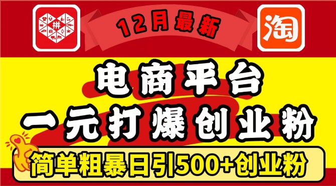 12月最新:电商平台1元打爆创业粉,简单粗暴日引500+精准创业粉,轻松月入过W-KJ分享