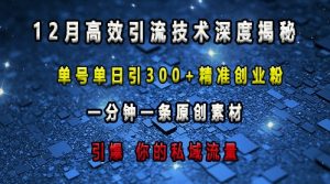 最新高效引流技术深度揭秘 ，单号单日引300+精准创业粉，一分钟一条原创素材，引爆你的私域流量-KJ分享
