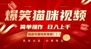 爆笑猫咪视频：简单操作，日入过K，视频号搞钱新策略-KJ分享