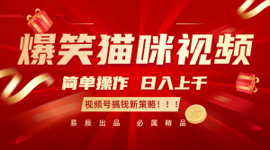 爆笑猫咪视频：简单操作，日入过千，视频号搞钱新策略！-KJ分享