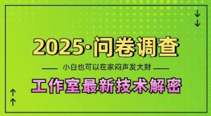 2025问卷调查最新工作室技术解密：一个人在家也可以闷声发大财，小白一天2张，可矩阵放大-KJ分享