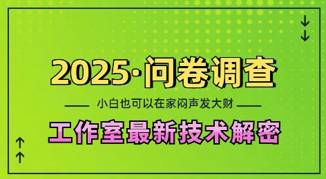 2025问卷调查最新工作室技术解密:一个人在家也可以闷声发大财,小白一天2张,可矩阵放大-KJ分享