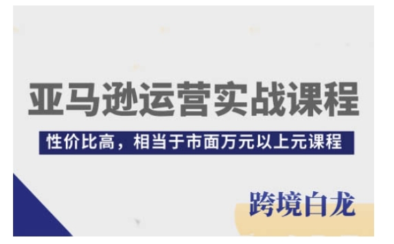 亚马逊运营实战课程,亚马逊从入门到精通,性价比高,相当于市面万元以上元课程-KJ分享
