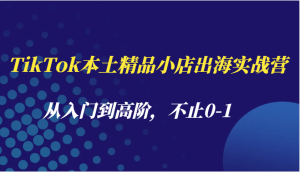 TikTok本土精品小店出海实战营，从入门到高阶，不止0-1-KJ分享
