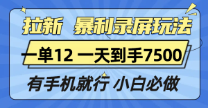 拉新暴利录屏玩法，一单12块，一天到手7500，有手机就行-KJ分享