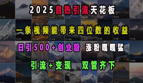 2025自热引流天花板，一条视频能带来四位数的收益，引流+变现双管齐下，日引500+创业粉，涨粉嘎嘎猛-KJ分享
