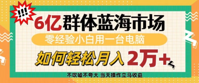 6亿群体蓝海市场,零经验小白用一台电脑,如何轻松月入过w-KJ分享