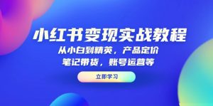 小红书变现实战教程:从小白到精英,产品定价,笔记带货,账号运营等-KJ分享