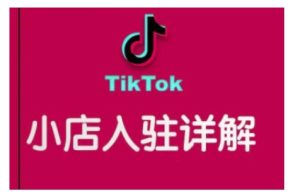 TikTok跨境小店运营全攻略，帮助你独立运营TK跨境小店的能力，实现销量增长-KJ分享