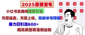 2025重磅发布：小红书直播间连怼引流，无需连麦、无需上镜，突破单号限制，暴力日引流600+-KJ分享