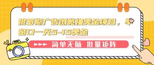 俄罗斯广告浏览撸美金项目，单窗口一天5-15美金-KJ分享