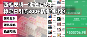 西瓜视频一键搬运技术,稳定日引流300+精准创业粉,简单可复制给团队,…-KJ分享